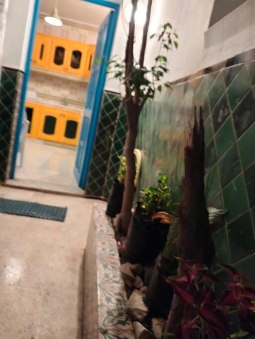 Coup De Coeur A Sidi Bou Said Villa Ngoại thất bức ảnh