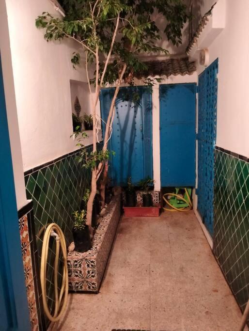 Coup De Coeur A Sidi Bou Said Villa Ngoại thất bức ảnh
